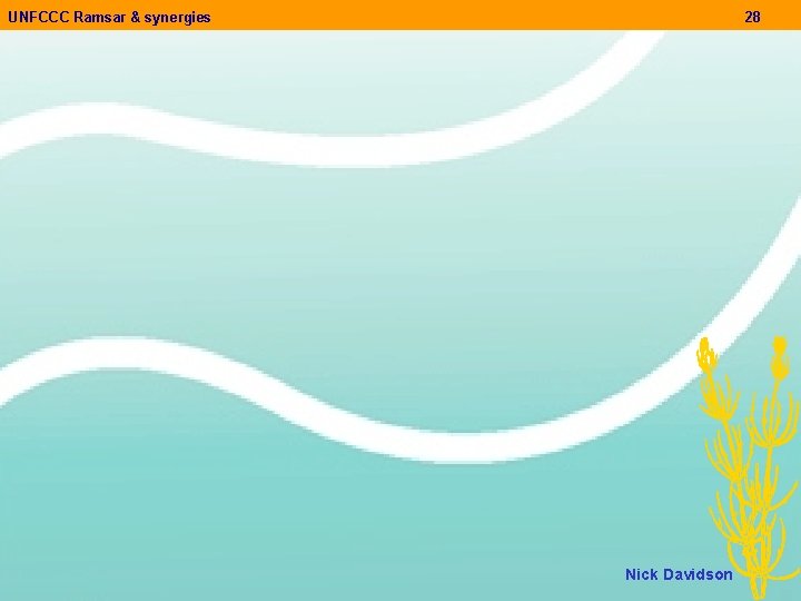 UNFCCC Ramsar & synergies 28 Nick Davidson 