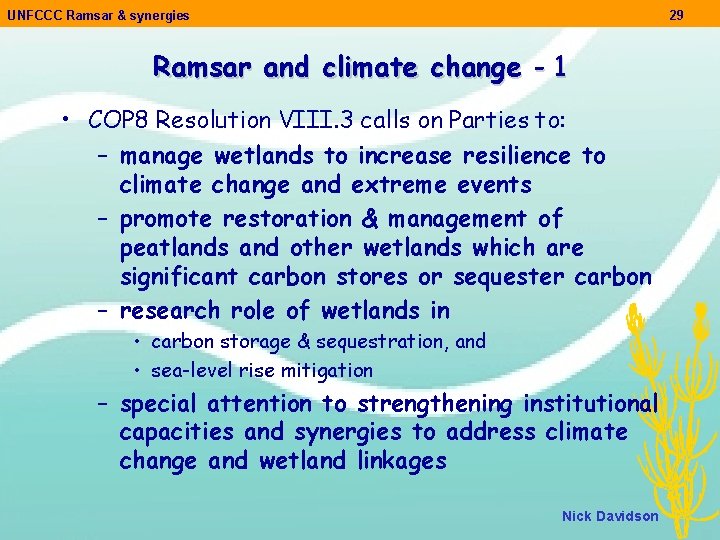 UNFCCC Ramsar & synergies 29 Ramsar and climate change - 1 • COP 8