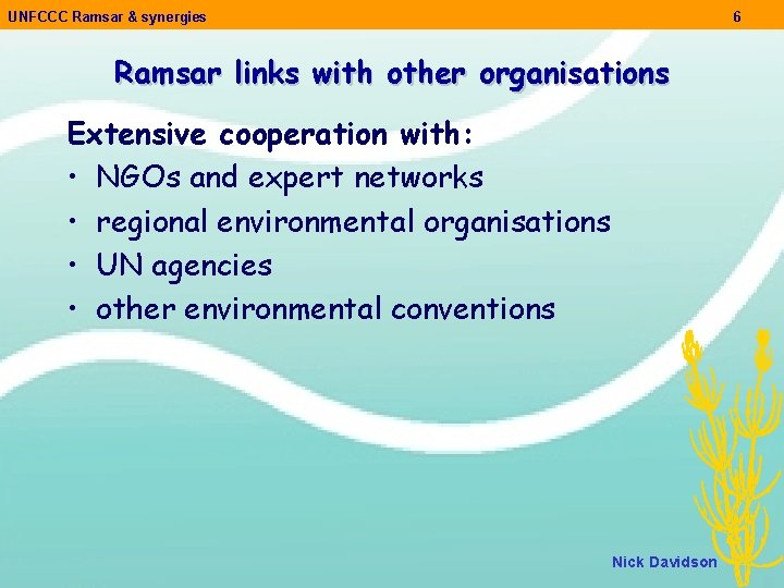 UNFCCC Ramsar & synergies 6 Ramsar links with other organisations Extensive cooperation with: •
