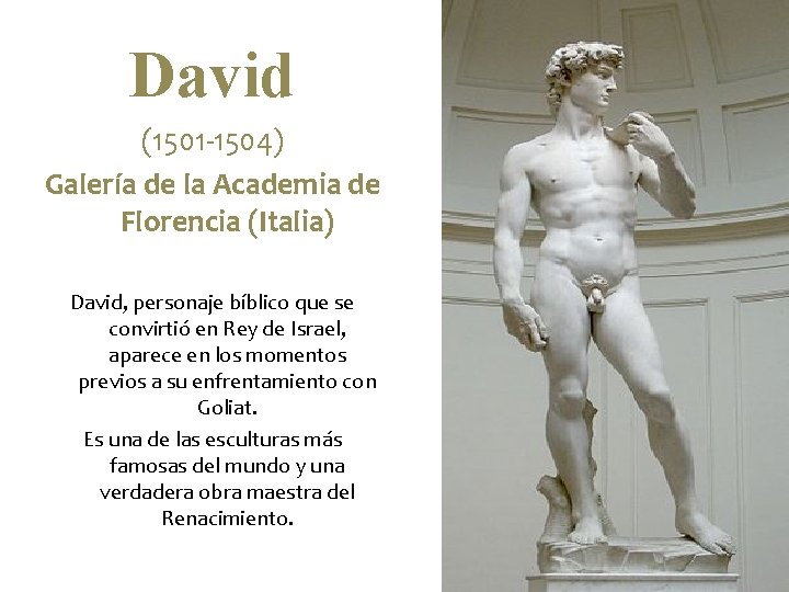 David (1501 -1504) Galería de la Academia de Florencia (Italia) David, personaje bíblico que