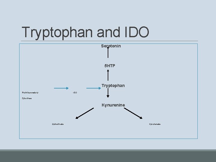 Tryptophan and IDO Serotonin 5 HTP Tryptophan Proinflammatory IDO Cytokines Kynurenine Quinolinate Kynurenate 