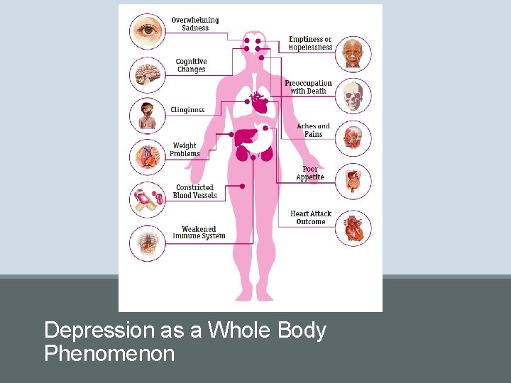 Depression as a Whole Body Phenomenon 