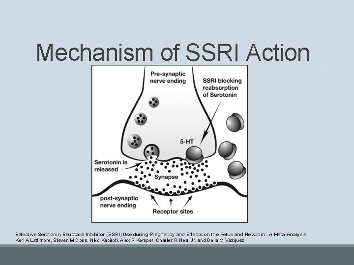 Mechanism of SSRI Action Selective Serotonin Reuptake Inhibitor (SSRI) Use during Pregnancy and Effects