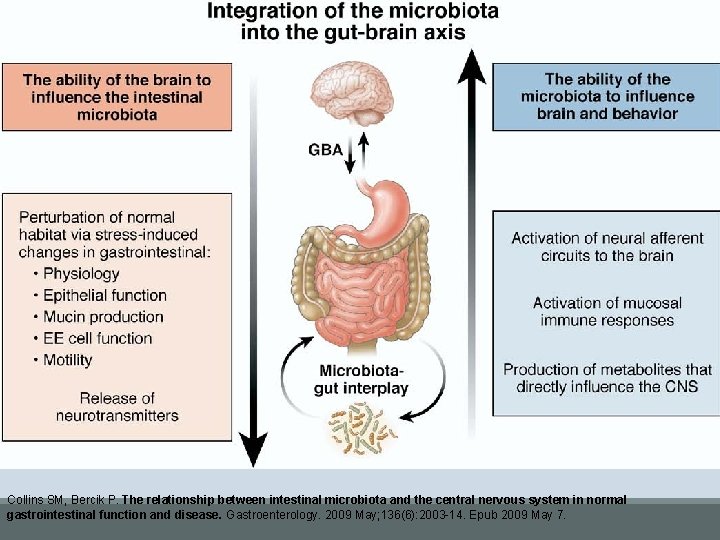 Collins SM, Bercik P. The relationship between intestinal microbiota and the central nervous system
