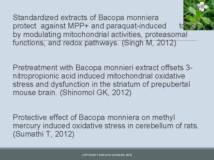 Standardized extracts of Bacopa monniera protect against MPP+ and paraquat-induced toxicity by modulating mitochondrial