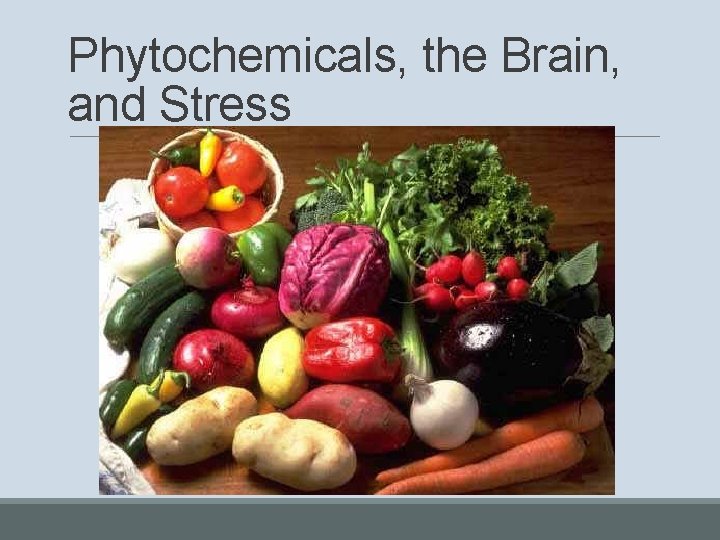 Phytochemicals, the Brain, and Stress 