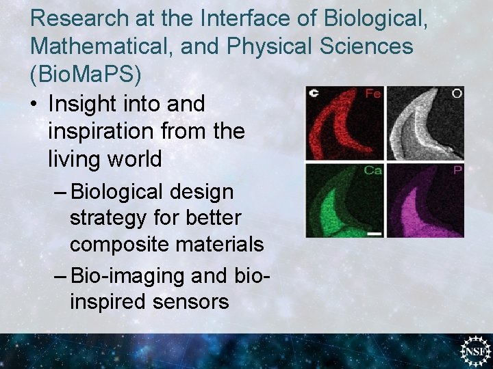 Research at the Interface of Biological, Mathematical, and Physical Sciences (Bio. Ma. PS) •