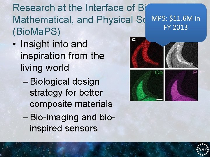 Research at the Interface of Biological, MPS: $11. 6 M in Mathematical, and Physical