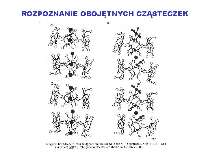 ROZPOZNANIE OBOJĘTNYCH CZĄSTECZEK 