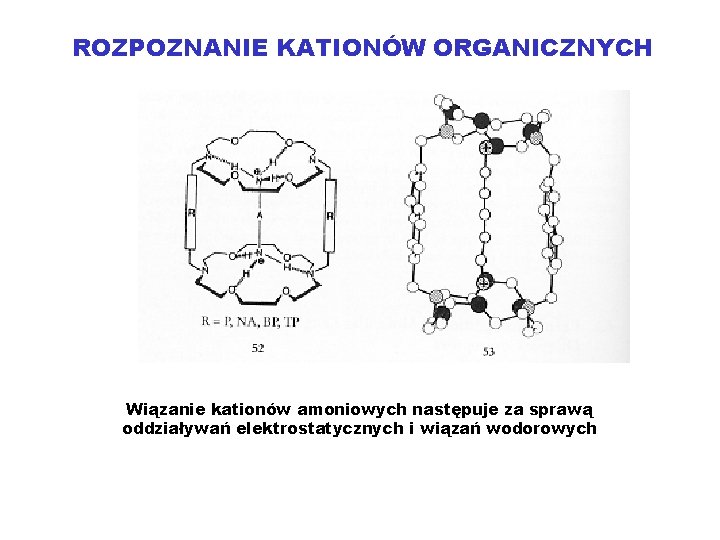 ROZPOZNANIE KATIONÓW ORGANICZNYCH Wiązanie kationów amoniowych następuje za sprawą oddziaływań elektrostatycznych i wiązań wodorowych