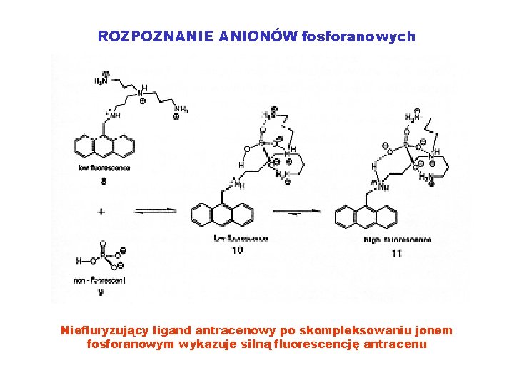 ROZPOZNANIE ANIONÓW fosforanowych Niefluryzujący ligand antracenowy po skompleksowaniu jonem fosforanowym wykazuje silną fluorescencję antracenu