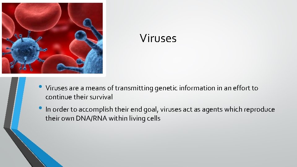 Viruses • Viruses are a means of transmitting genetic information in an effort to