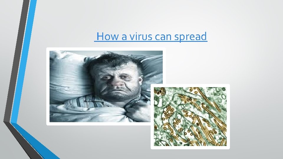 How a virus can spread Influenza virus 