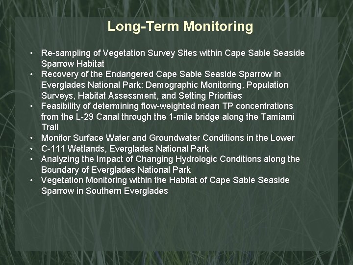 Long-Term Monitoring • Re-sampling of Vegetation Survey Sites within Cape Sable Seaside Sparrow Habitat
