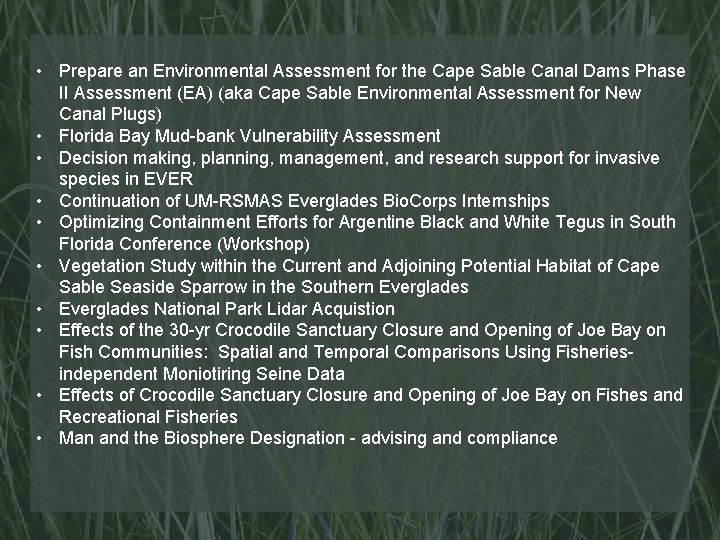  • Prepare an Environmental Assessment for the Cape Sable Canal Dams Phase II
