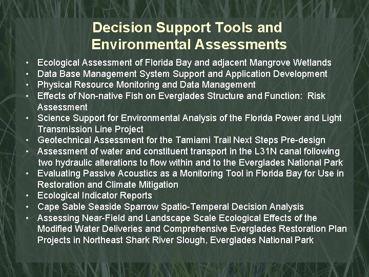 Decision Support Tools and Environmental Assessments • • • Ecological Assessment of Florida Bay
