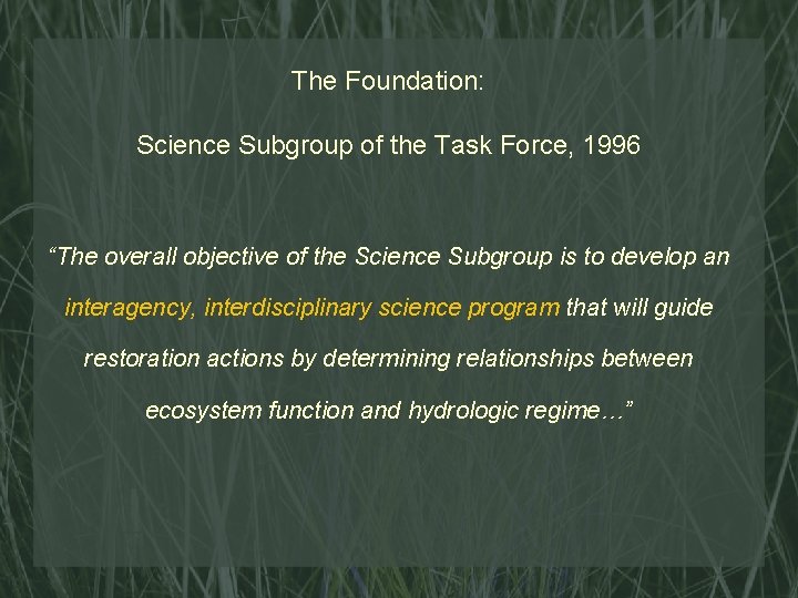 The Foundation: Science Subgroup of the Task Force, 1996 “The overall objective of the