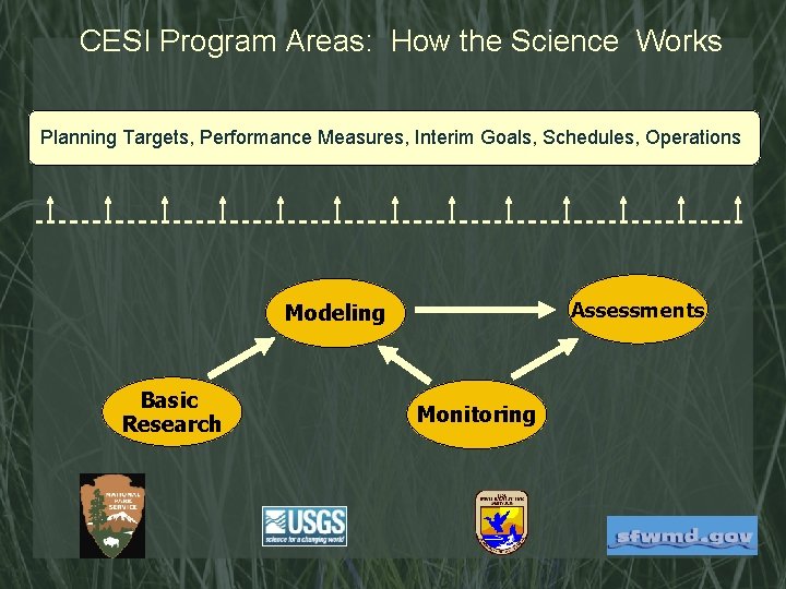CESI Program Areas: How the Science Works Planning Targets, Performance Measures, Interim Goals, Schedules,