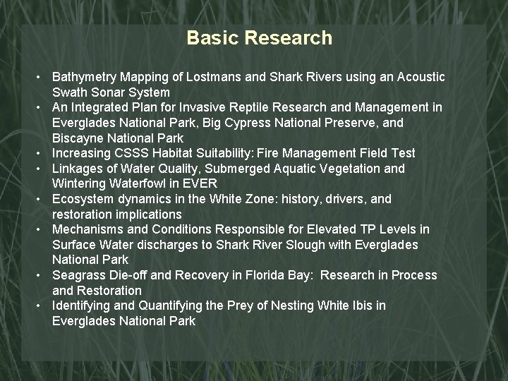 Basic Research • Bathymetry Mapping of Lostmans and Shark Rivers using an Acoustic Swath