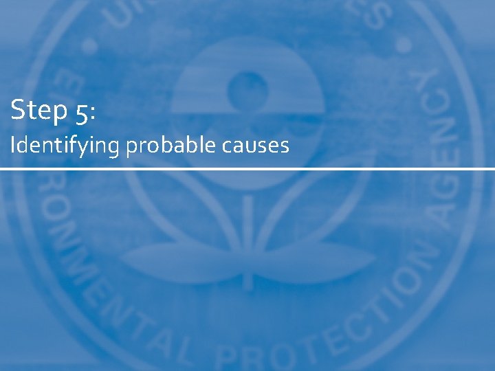 Step 5: Identifying probable causes 