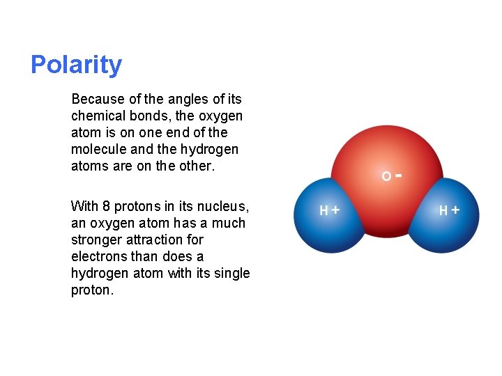 Polarity Because of the angles of its chemical bonds, the oxygen atom is on