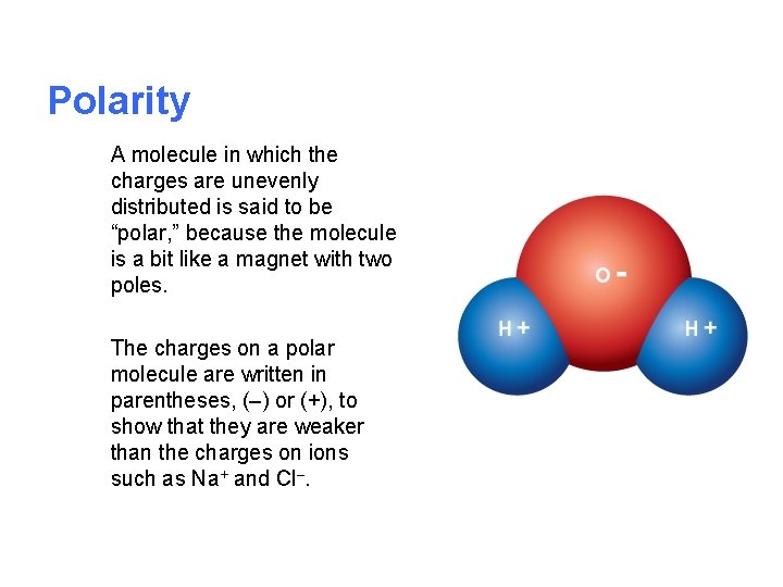 Polarity A molecule in which the charges are unevenly distributed is said to be