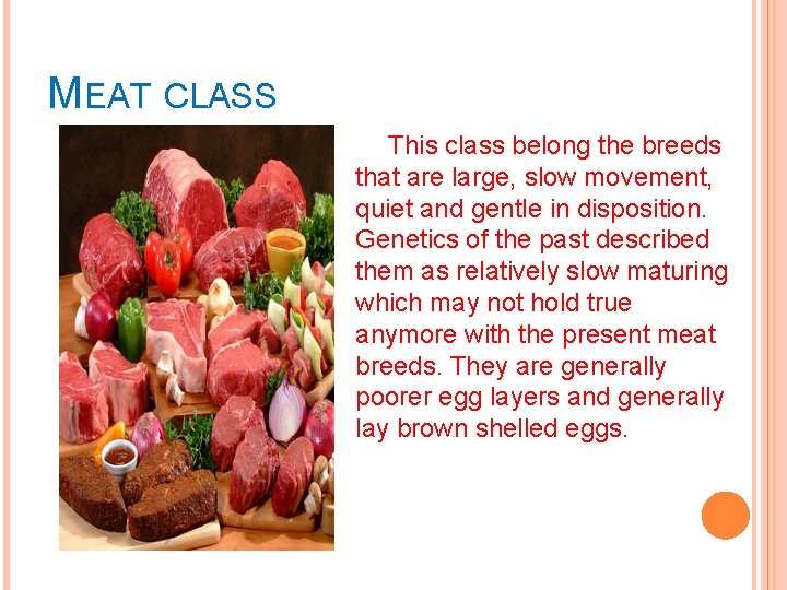 MEAT CLASS This class belong the breeds that are large, slow movement, quiet and