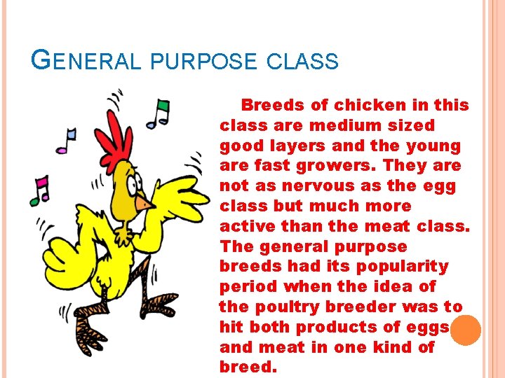 GENERAL PURPOSE CLASS Breeds of chicken in this class are medium sized good layers