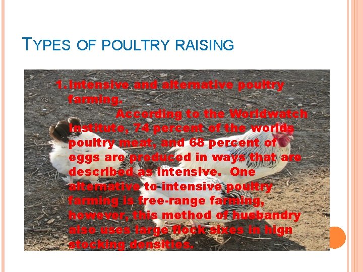 TYPES OF POULTRY RAISING 1. Intensive and alternative poultry farming. According to the Worldwatch