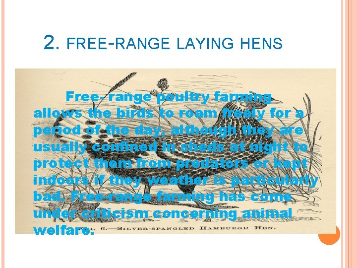 2. FREE-RANGE LAYING HENS Free- range poultry farming allows the birds to roam freely