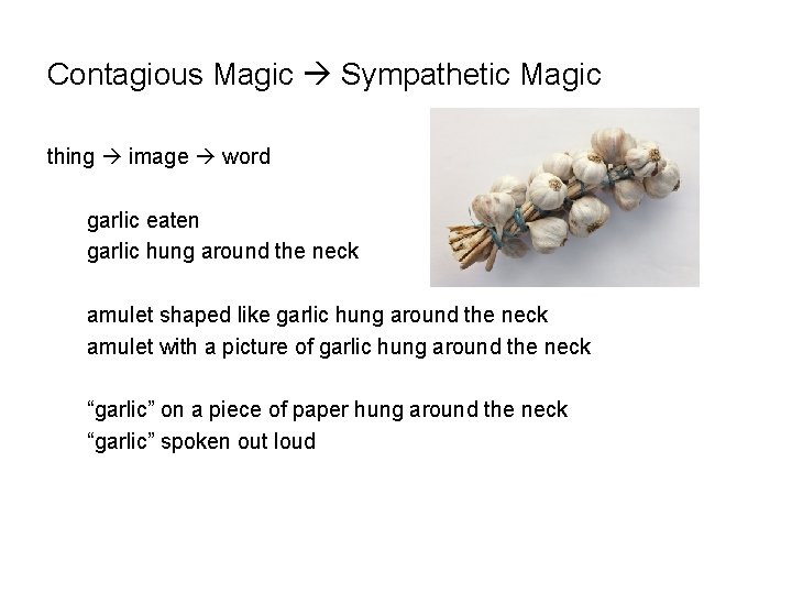 Contagious Magic Sympathetic Magic thing image word garlic eaten garlic hung around the neck