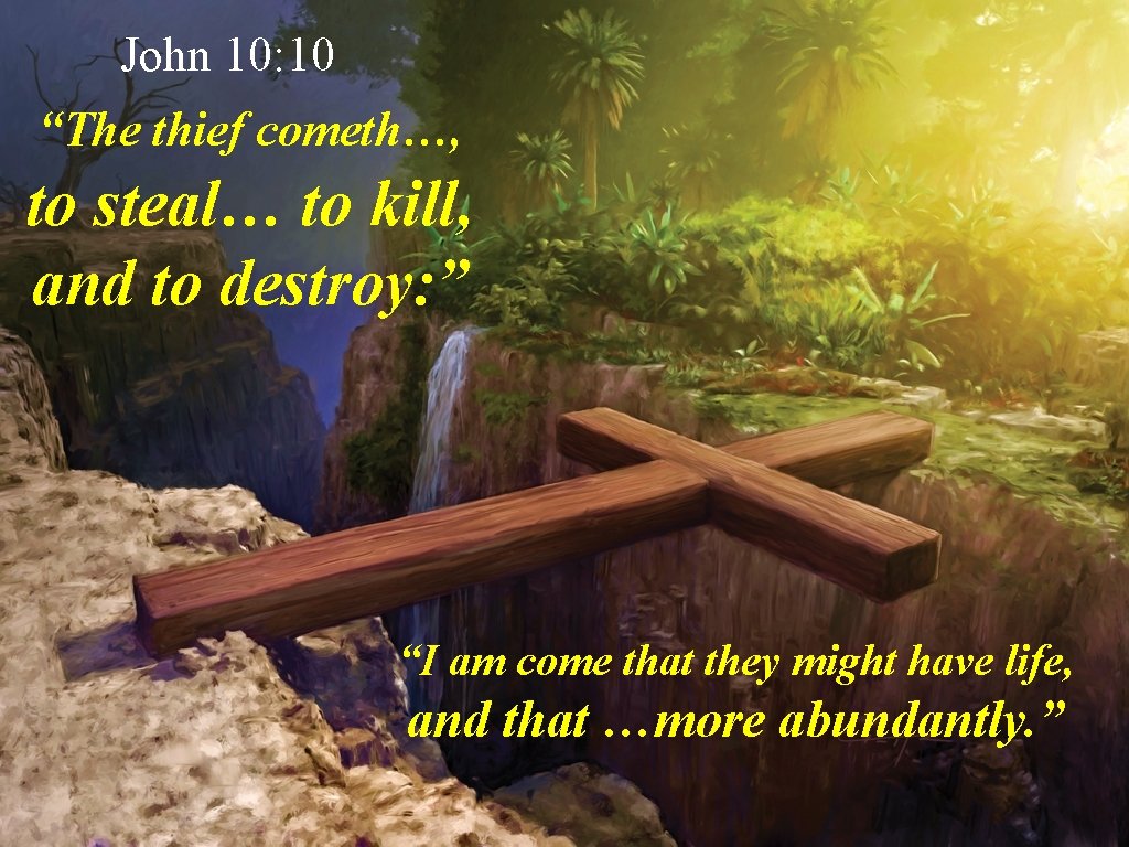 John 10: 10 “The thief cometh…, to steal… to kill, and to destroy: ”