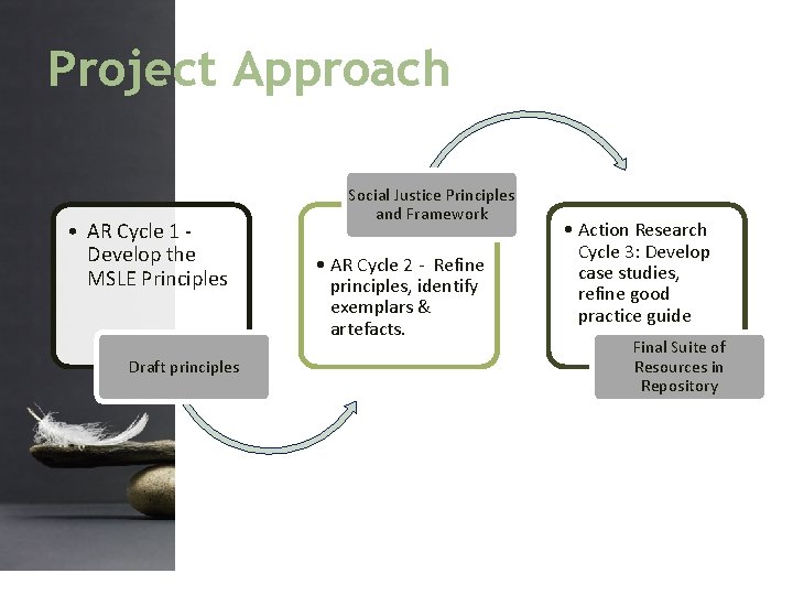 Project Approach • AR Cycle 1 Develop the MSLE Principles Draft principles Social Justice