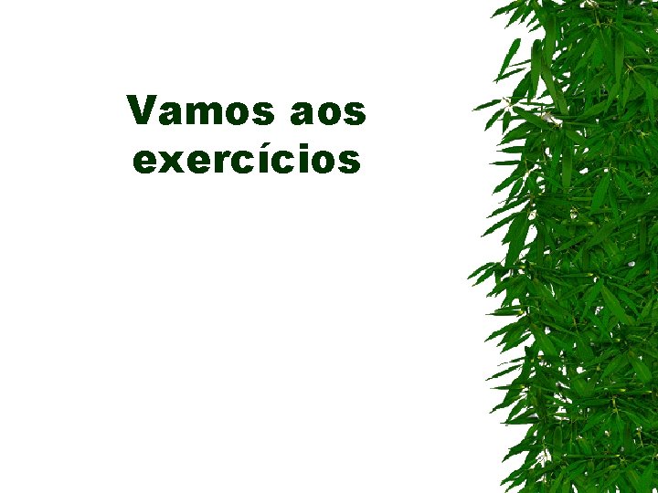 Vamos aos exercícios 