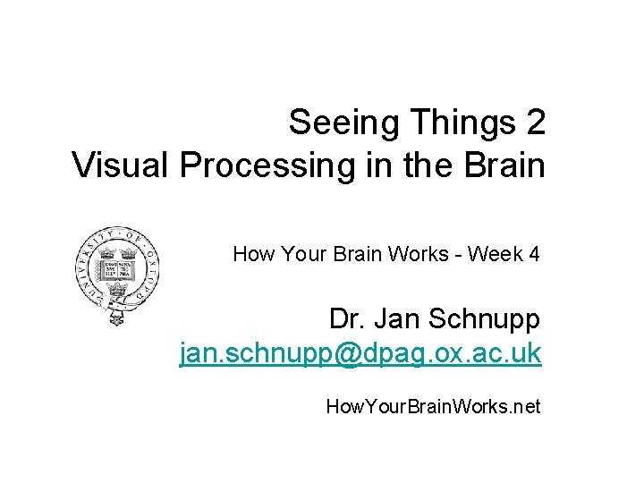 Seeing Things 2 Visual Processing in the Brain How Your Brain Works - Week