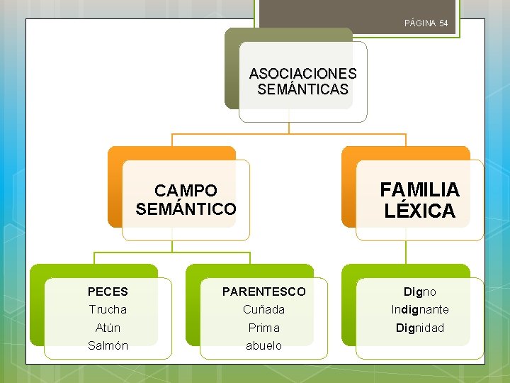 PÁGINA 54 ASOCIACIONES SEMÁNTICAS CAMPO SEMÁNTICO PECES Trucha Atún Salmón PARENTESCO Cuñada Prima abuelo