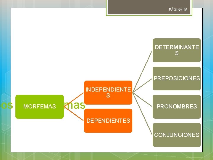 PÁGINA 46 DETERMINANTE S PREPOSICIONES INDEPENDIENTE S MORFEMAS pos de morfemas PRONOMBRES DEPENDIENTES CONJUNCIONES