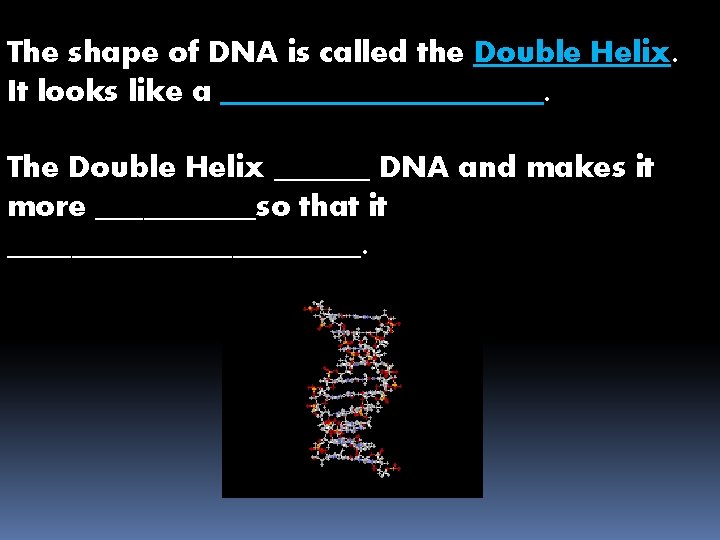 The shape of DNA is called the Double Helix. It looks like a __________.