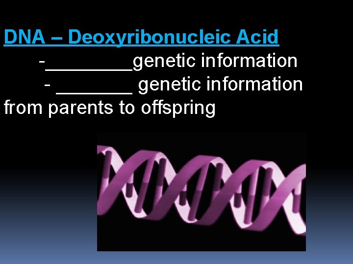 DNA – Deoxyribonucleic Acid -____genetic information - _______ genetic information from parents to offspring
