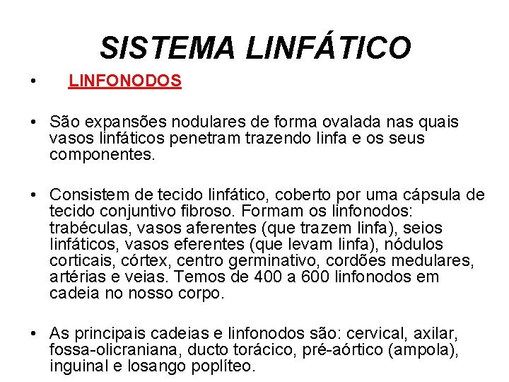 SISTEMA LINFÁTICO • LINFONODOS • São expansões nodulares de forma ovalada nas quais vasos