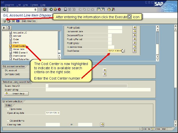 After entering the information click the Execute The Cost Center is now highlighted to