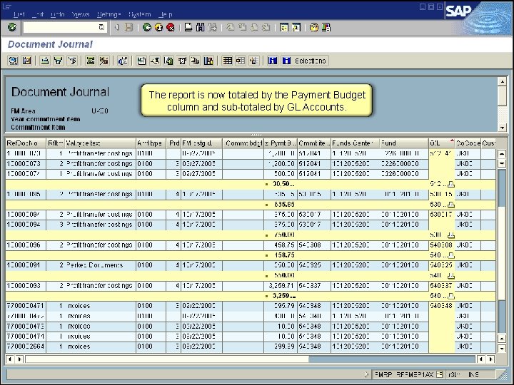 The report is now totaled by the Payment Budget column and sub-totaled by GL