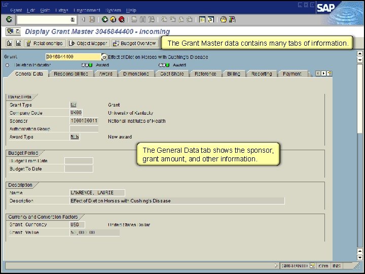 The Grant Master data contains many tabs of information. The General Data tab shows