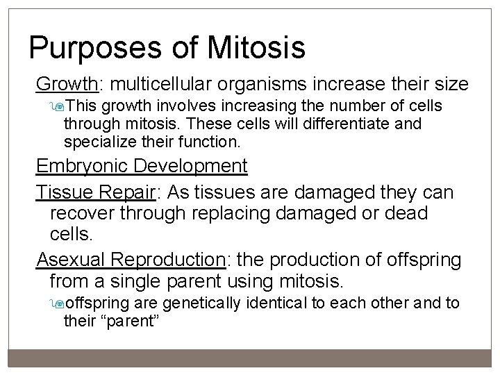 Purposes of Mitosis Growth: multicellular organisms increase their size This growth involves increasing the
