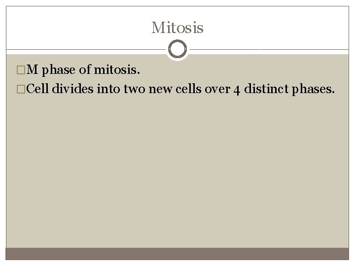 Mitosis �M phase of mitosis. �Cell divides into two new cells over 4 distinct