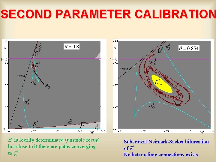 SECOND PARAMETER CALIBRATION E* is locally determinated (unstable focus) but close to it there