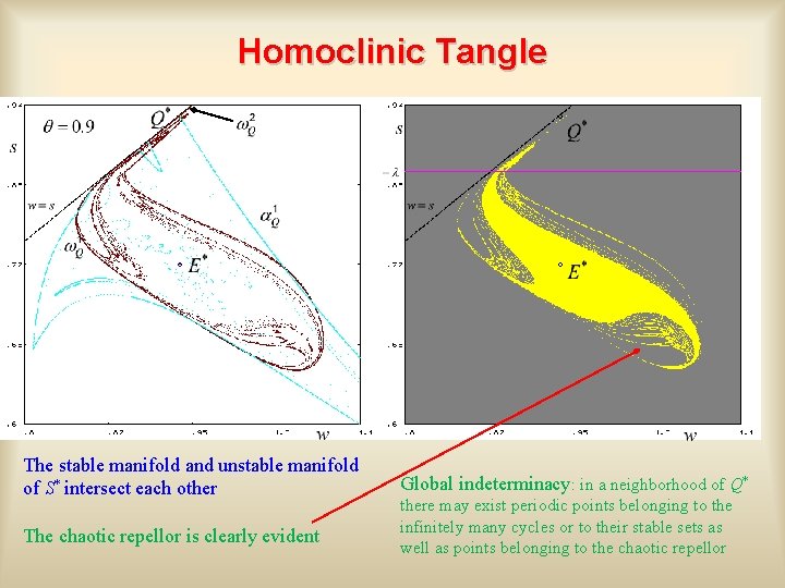 Homoclinic Tangle The stable manifold and unstable manifold of S* intersect each other The
