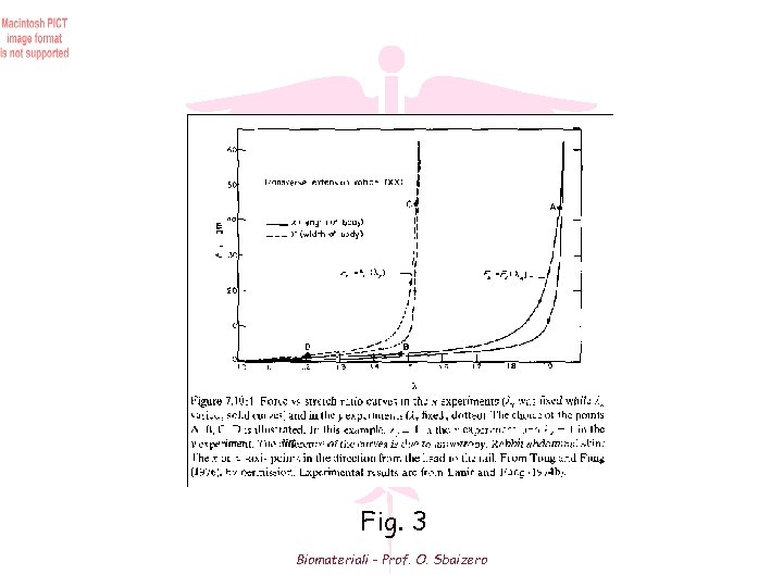 Fig. 3 Biomateriali - Prof. O. Sbaizero 