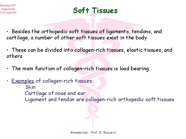 Soft Tissues • Besides the orthopedic soft tissues of ligaments, tendons, and cartilage, a