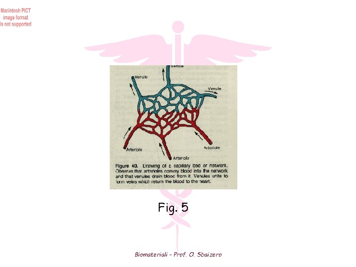 Fig. 5 Biomateriali - Prof. O. Sbaizero 